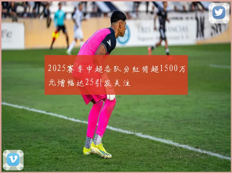 2025赛季中超各队分红将超1500万元增幅达25引发关注